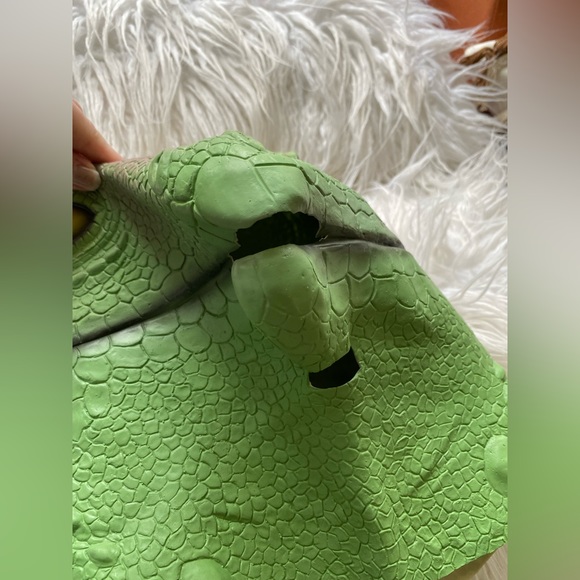 🦎 Parent Trap Meredith Blake + Lizard Halloween Couples Costumes - Picture 7 of 16